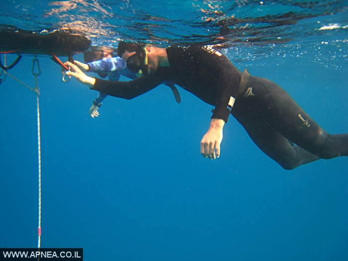    - APNEA -  ,  - 008
