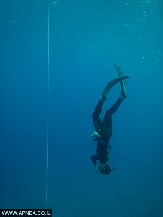    - APNEA -  ,  - 010