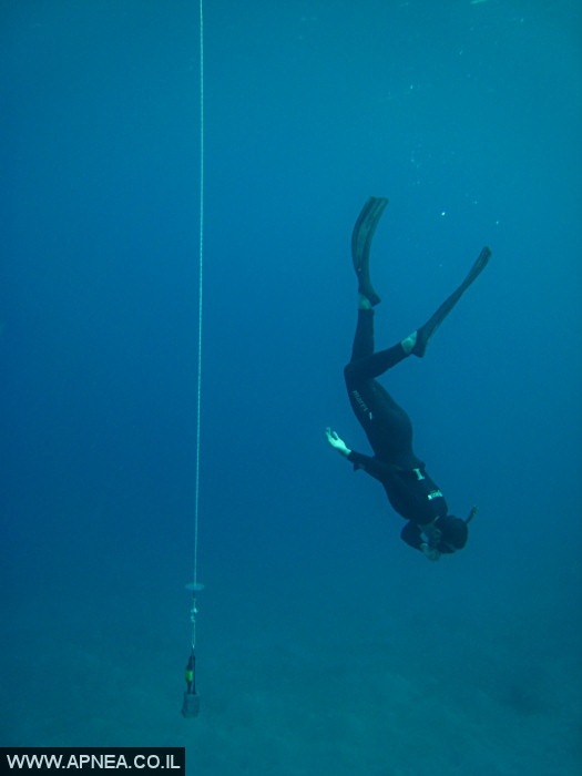    - APNEA -  ,  - 011