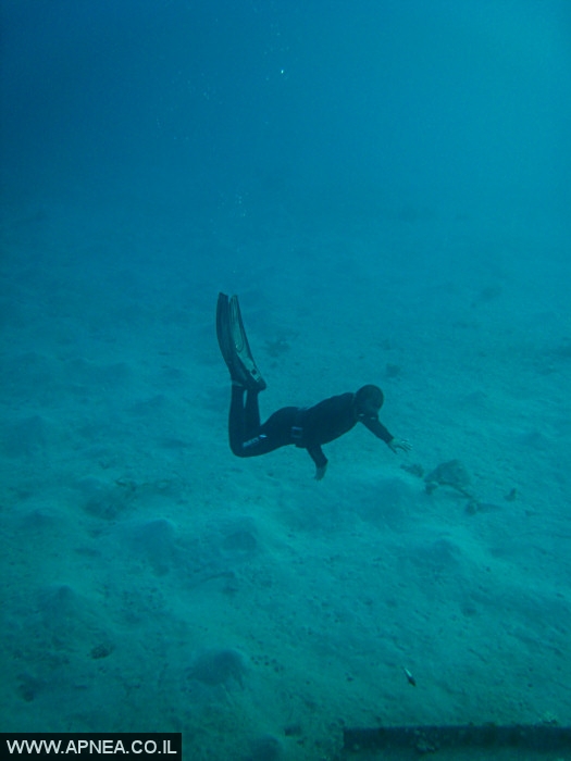    - APNEA -  , , , ,  - 003