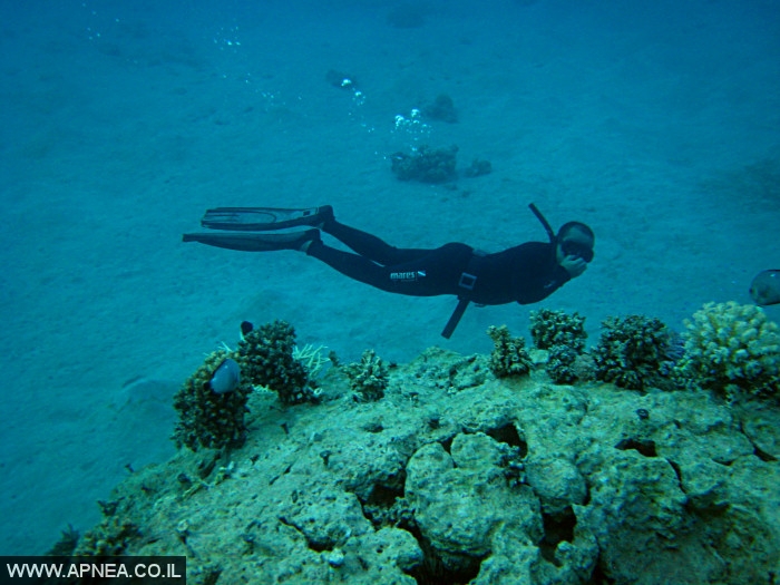    - APNEA -  , , , ,  - 017