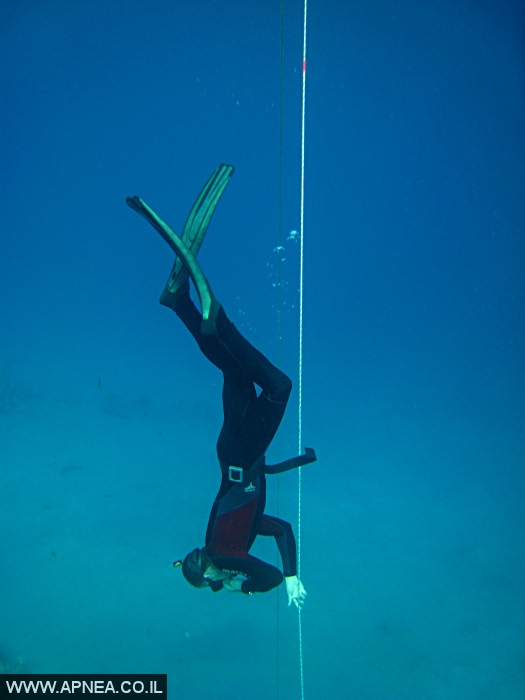    - APNEA -  , ,  - 011