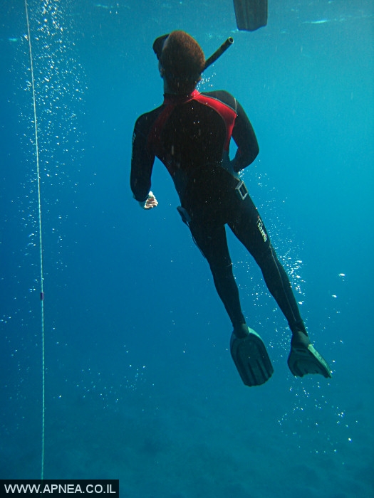    - APNEA -  , ,  - 020