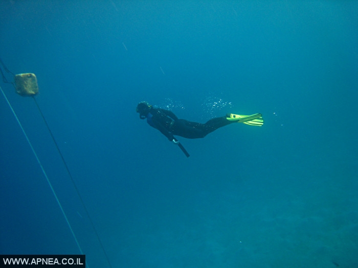   - APNEA -  ,   - 005