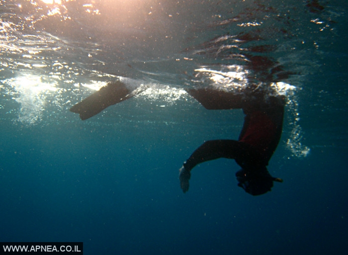    - APNEA -    - 007