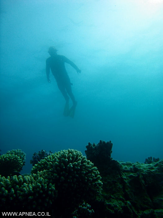    - APNEA -   - 007