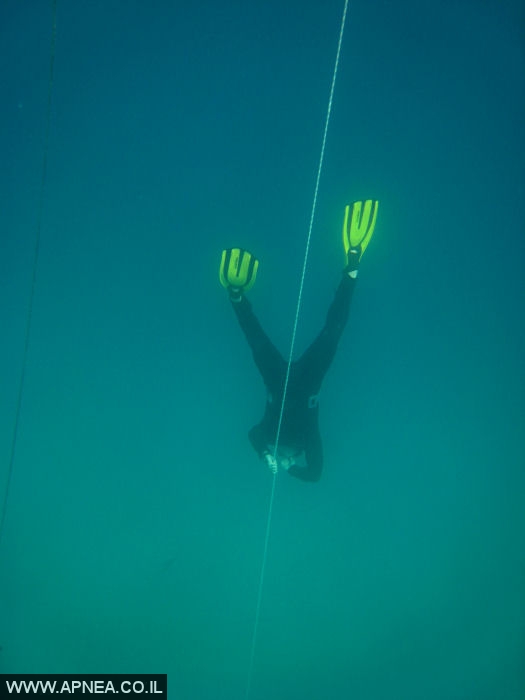    - APNEA -   - 008