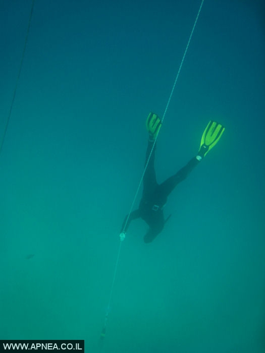    - APNEA -   - 009