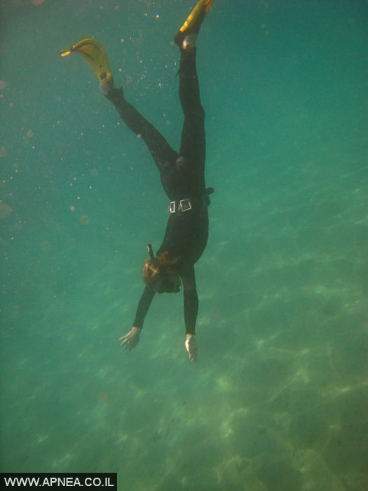    - APNEA -  ,   - 010