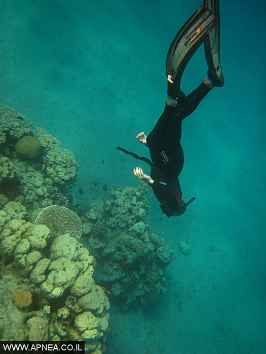    - APNEA -  , , ,   - 020
