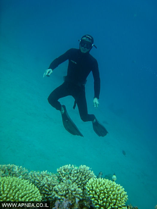    - APNEA -  ,   - 007