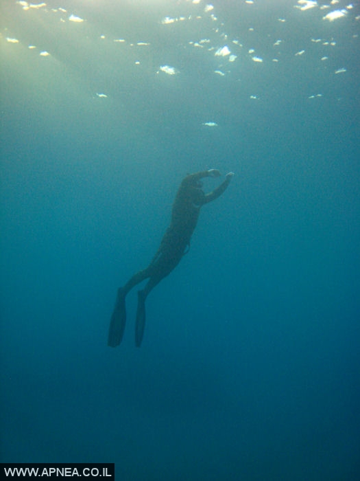    - APNEA -   - 013