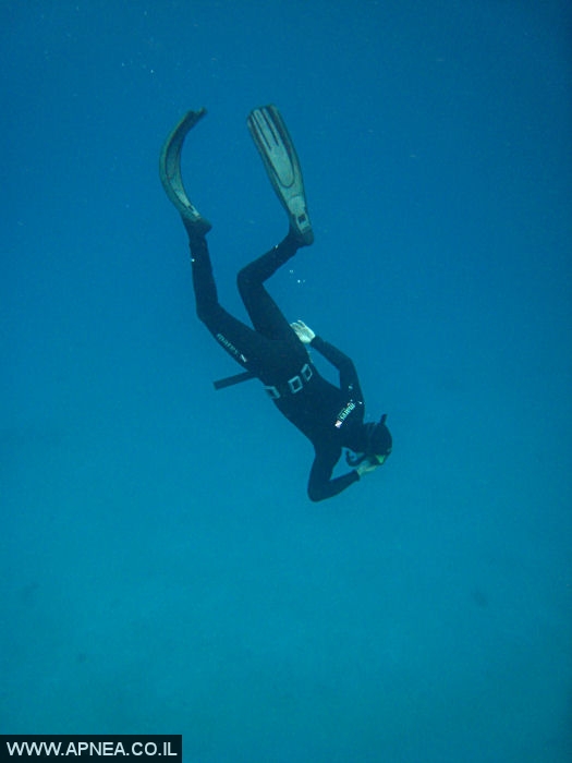    - APNEA -  ,   - 005