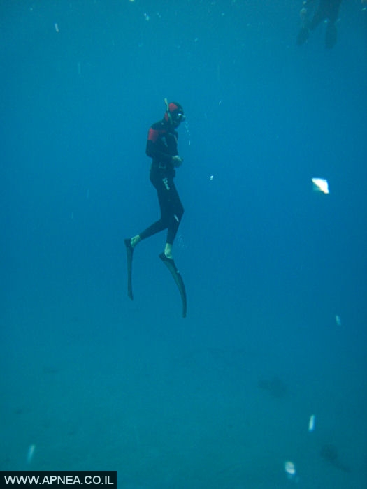   - APNEA -  ,   - 009