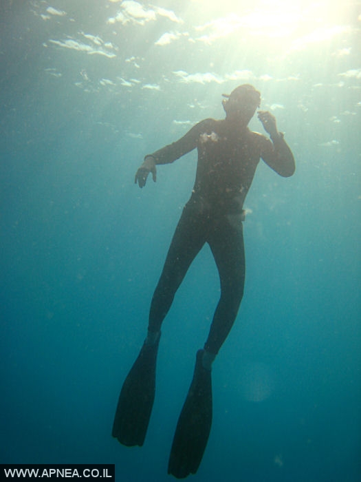    - APNEA -    - 015