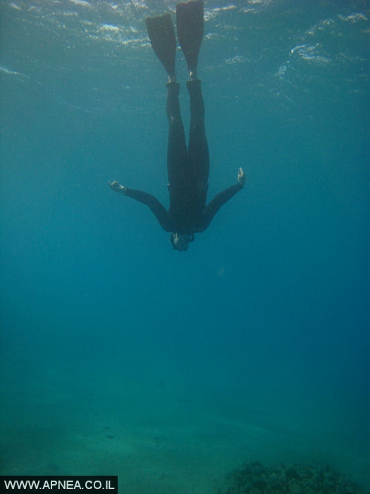    - APNEA -   - 001