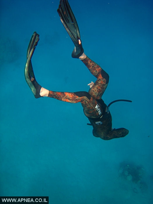    - APNEA -  ,   - 010