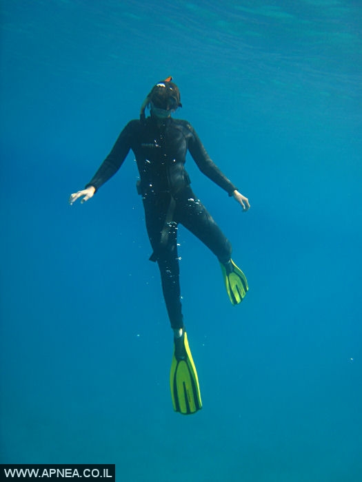    - APNEA -  ,   - 005