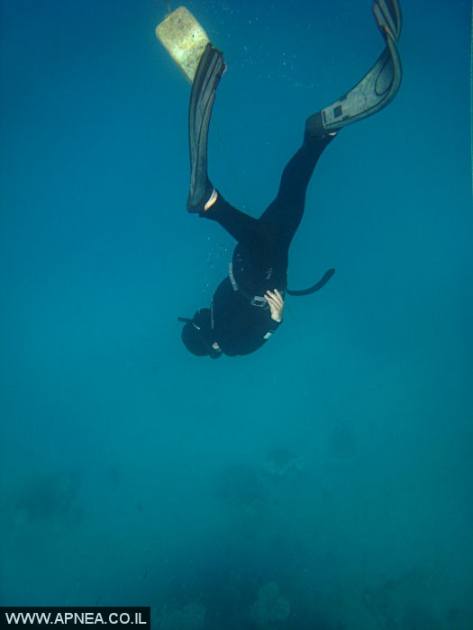    - APNEA -   - 006