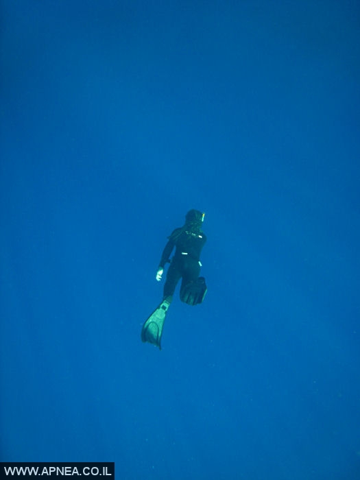    - APNEA -  ,   - 002