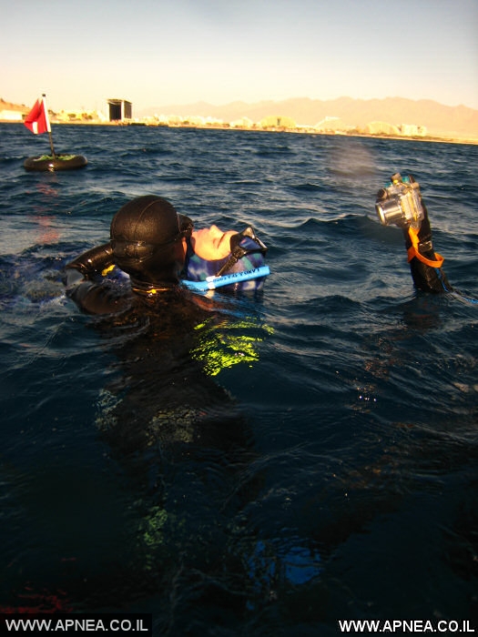 APNEA -  **** AIDA - 15