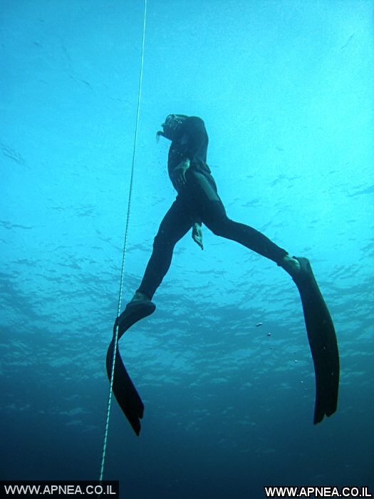  AIDA   -APNEA   - 1