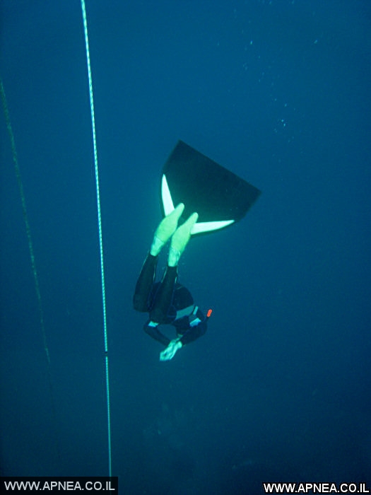  AIDA   -APNEA   - 8