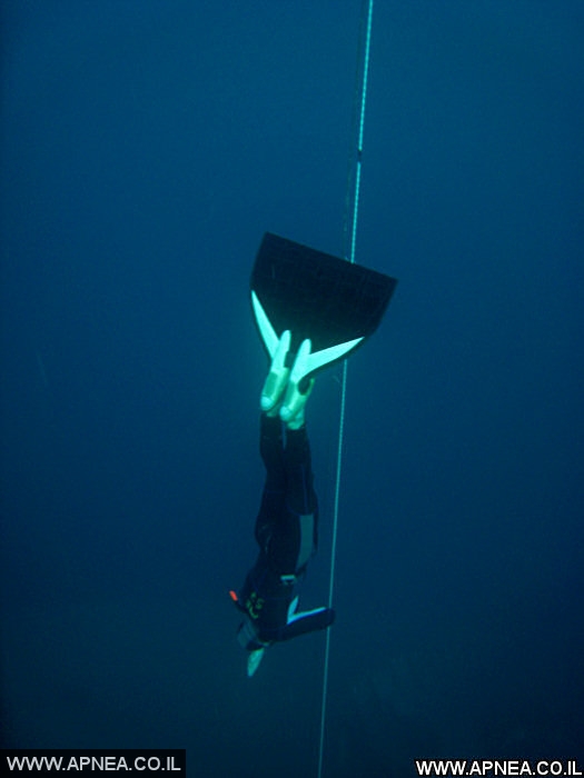  AIDA   -APNEA   - 14