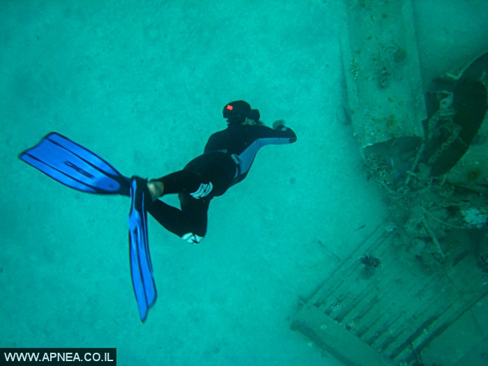 AIDA   -APNEA  ,   - 020