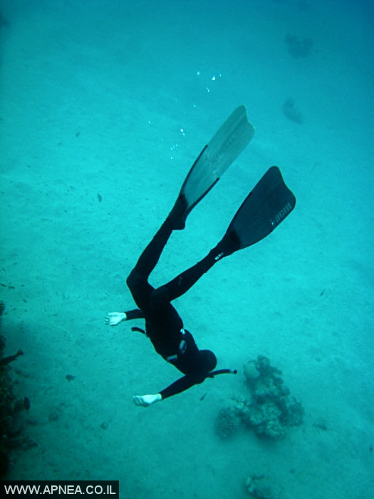  AIDA   -APNEA  ,   - 021