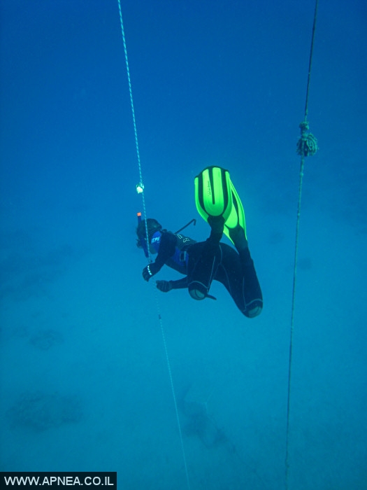 APNEA -     ,   - 019