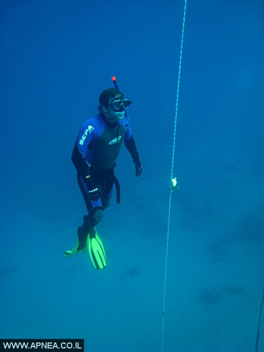 APNEA -     ,   - 020