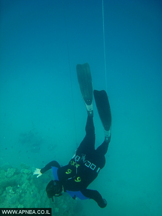 APNEA -       - 009