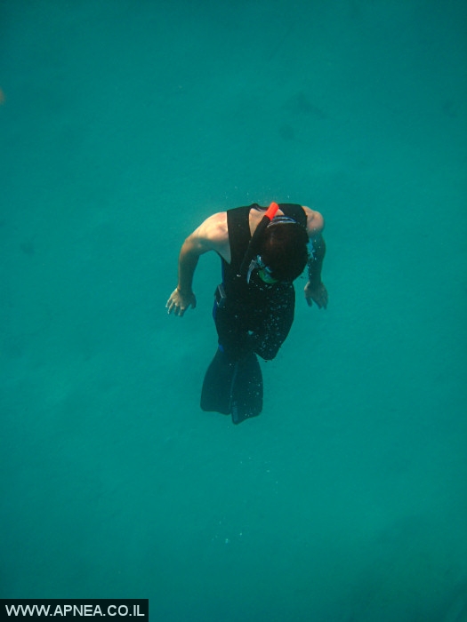 APNEA -       - 015