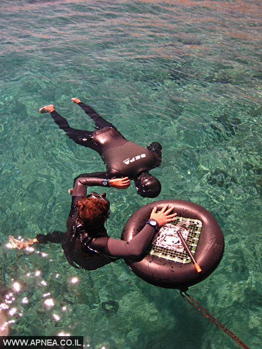    3  - APNEA -  , ,   - 015
