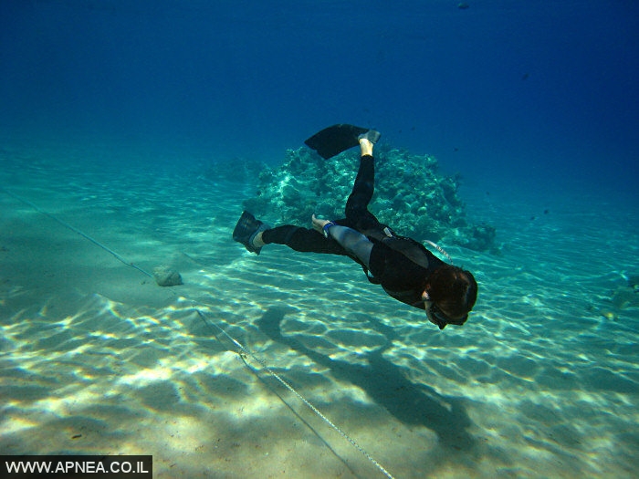    3  - APNEA -  , ,   - 021