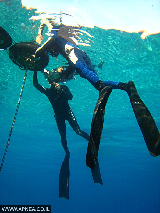    3  - APNEA -  , ,   - 025