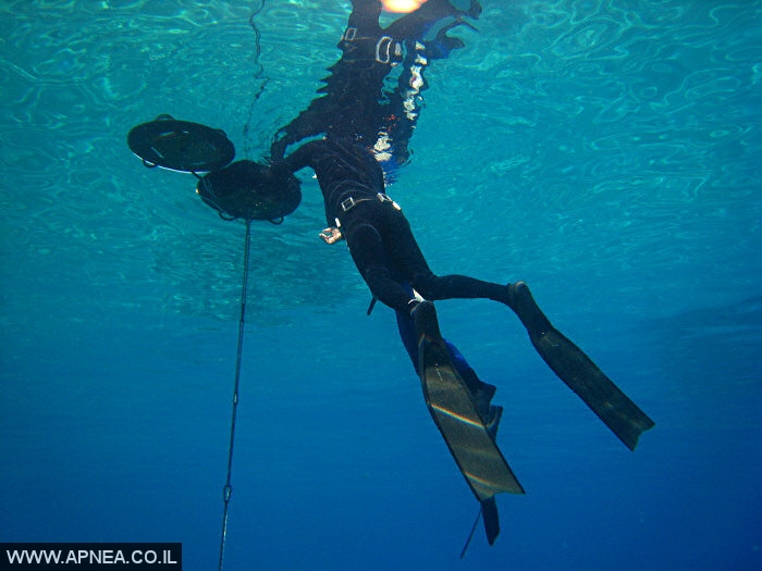    3  - APNEA -  , ,   - 001