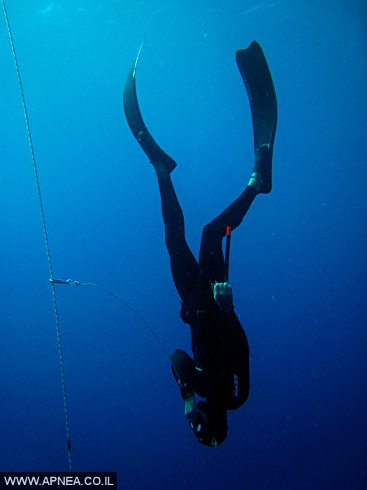    3  - APNEA -  , ,   - 003