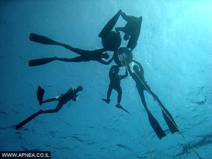    3  - APNEA -  , ,   - 005