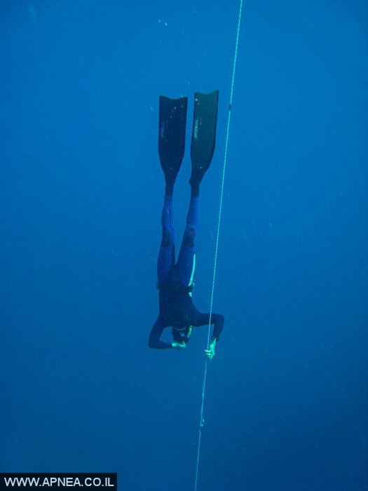    3  - APNEA -  , ,   - 008