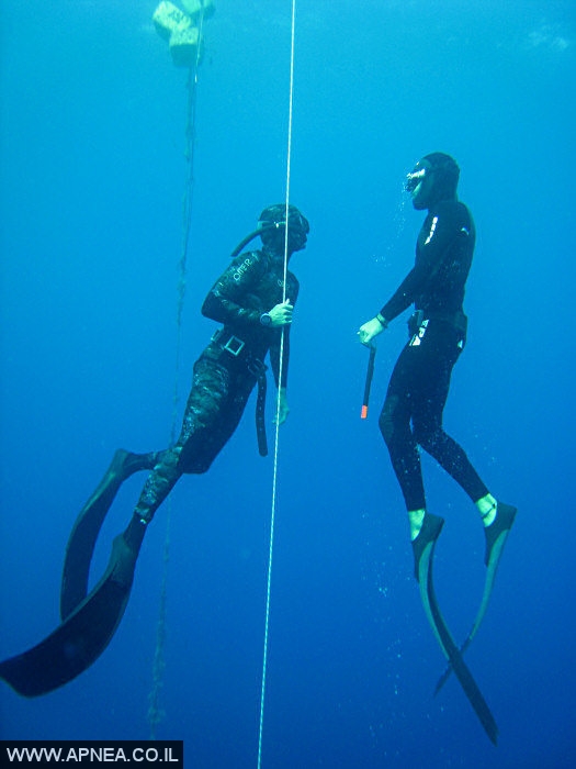    3  - APNEA -  , ,   - 006
