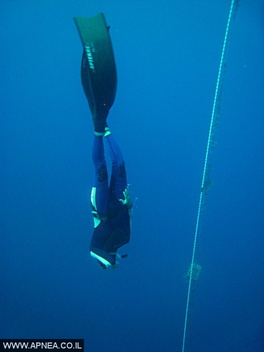    3  - APNEA -  , ,   - 010