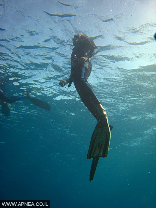    2  - APNEA -  ,   - 004