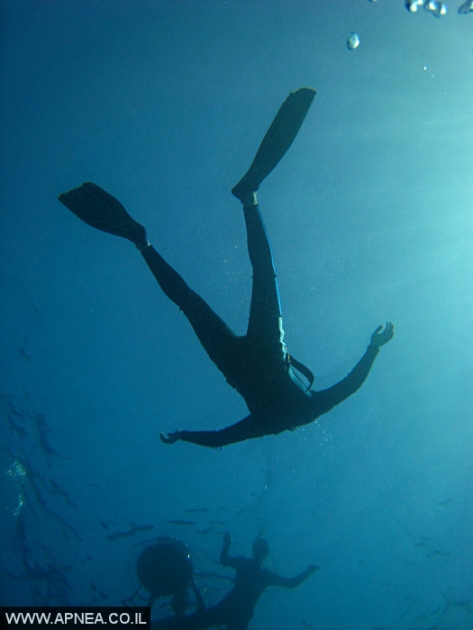    2  - APNEA -  ,   - 005