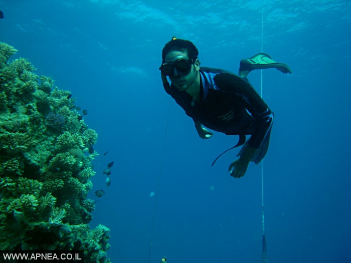    2  - APNEA -  ,   - 008