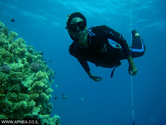    2  - APNEA -  ,   - 009