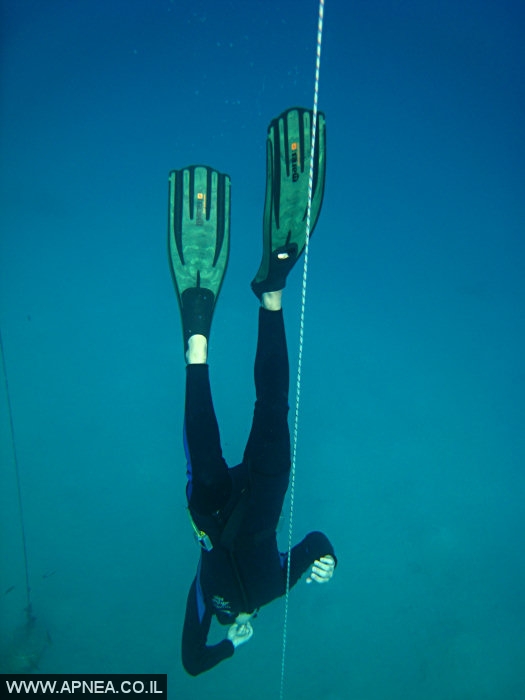    2  - APNEA -  ,   - 024