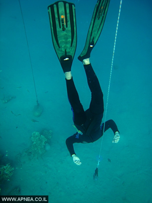    2  - APNEA -  ,   - 025