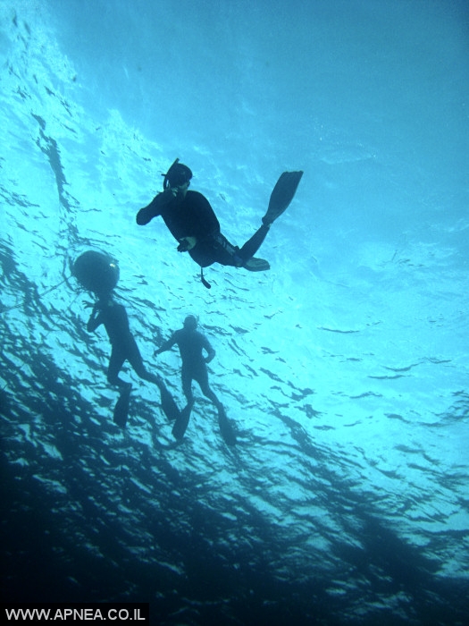    2  - APNEA -  ,   - 002